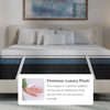 A rendered image of the Premium Memory Foam Mattress Topper with a callout to its luxury plush design