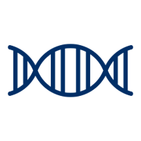 a dna strand illustration